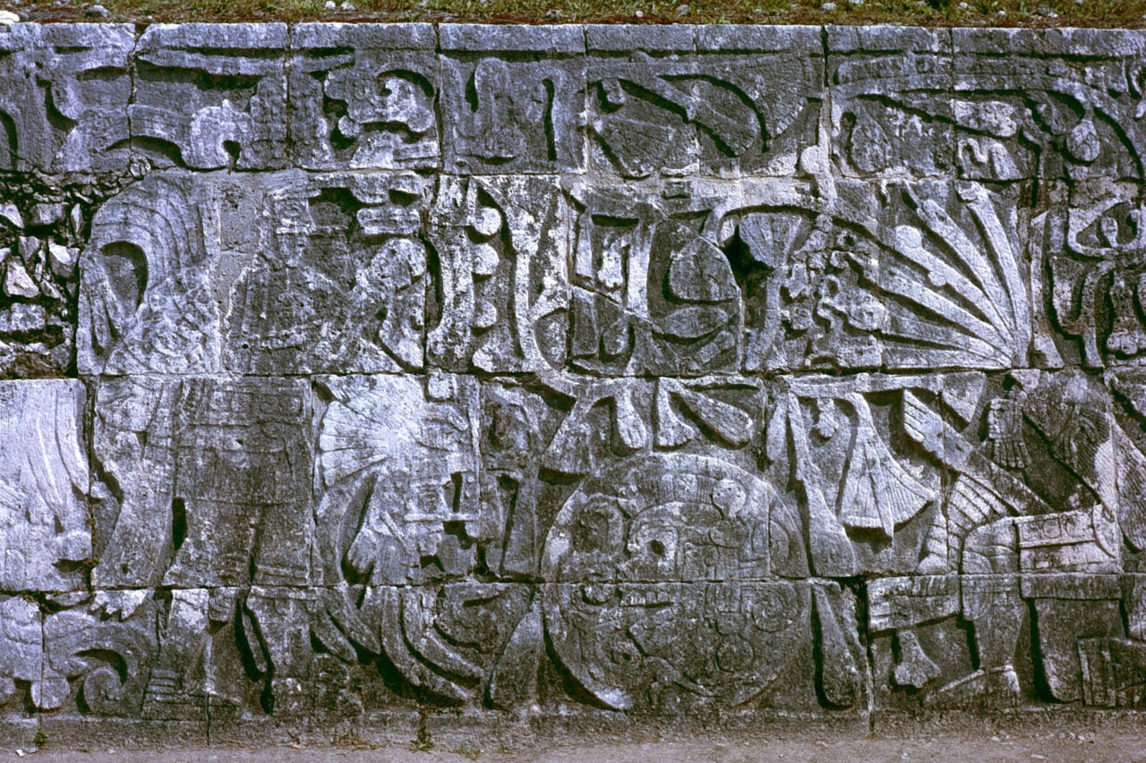 A Maya Woman Received Offerings of 226 Teeth For Centuries After Her Death