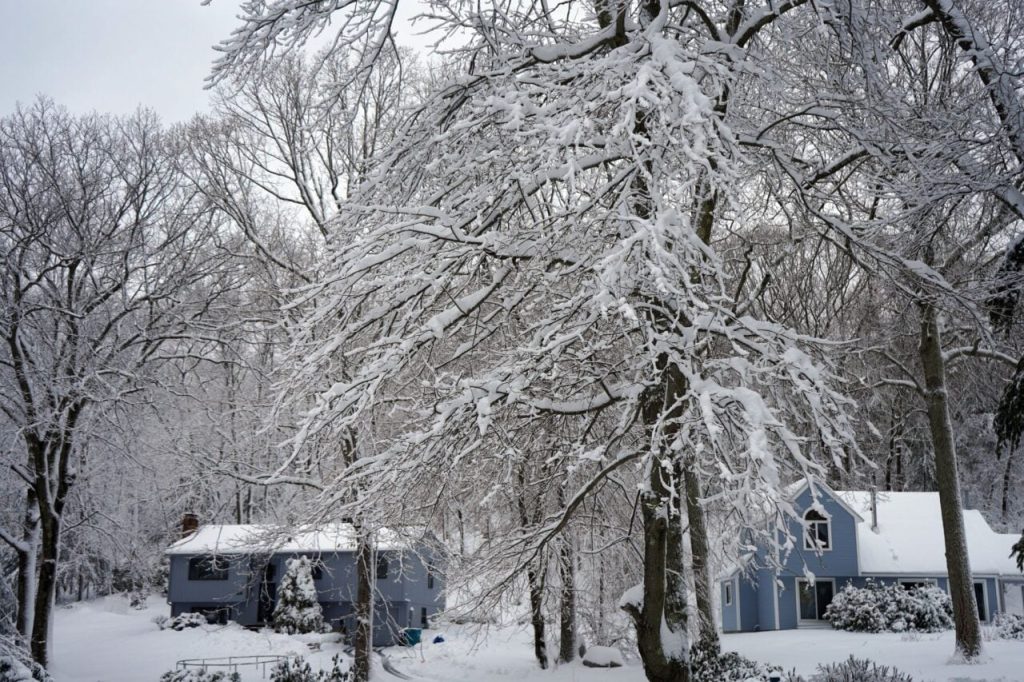 New Maps Show How Drastically This Year’s ‘Super’ El Niño Could Influence Winter Weather in the US