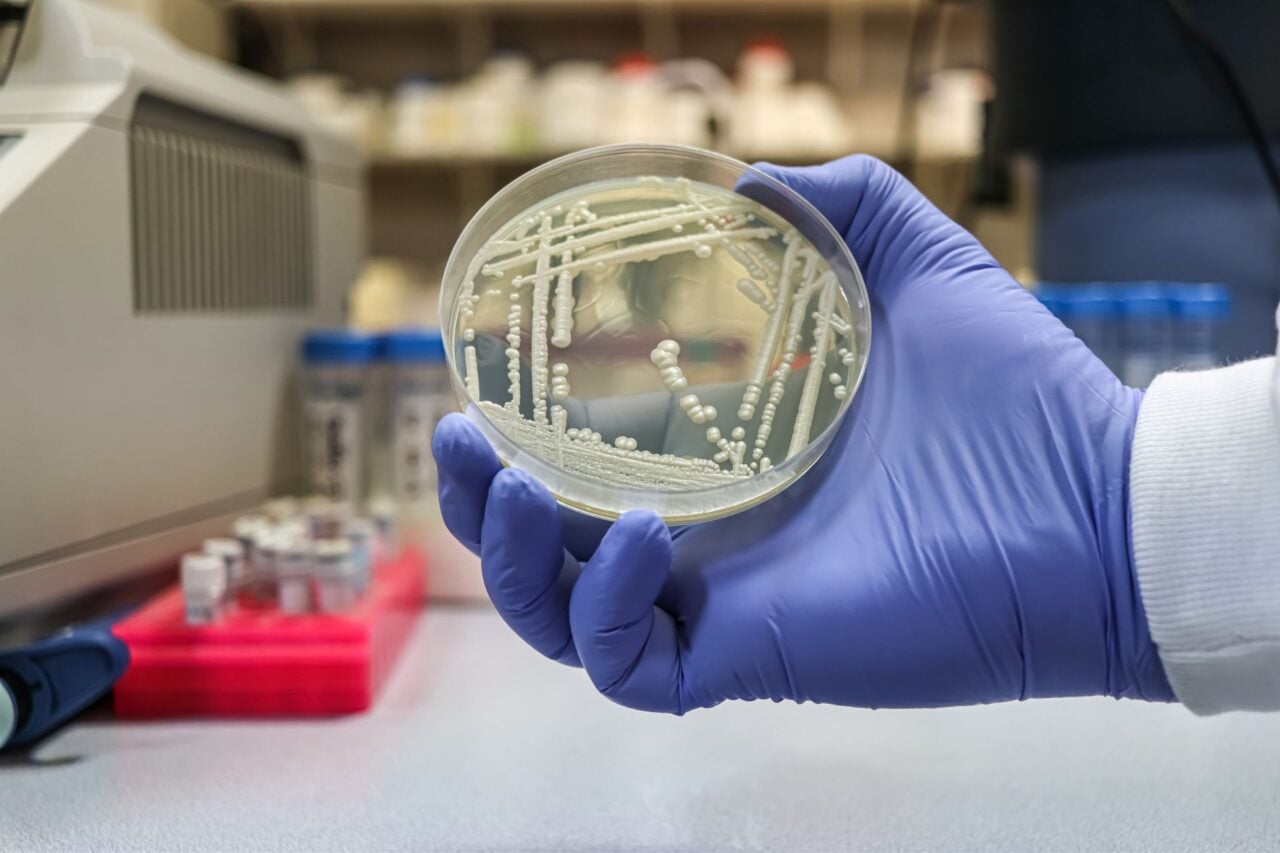 This Deadly Fungus Keeps Learning How to Beat Every Drug We Throw at It